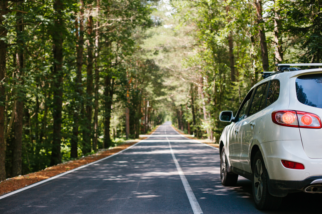 How to Calculate And Reduce Your Carbon Footprint: A Step-by-Step Guide